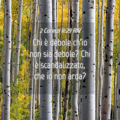 Picture 04 - 2 Corinzi 11:29 RIV - Chi è debole ch’io non sia debole? Chi è - Bible Verse Picture