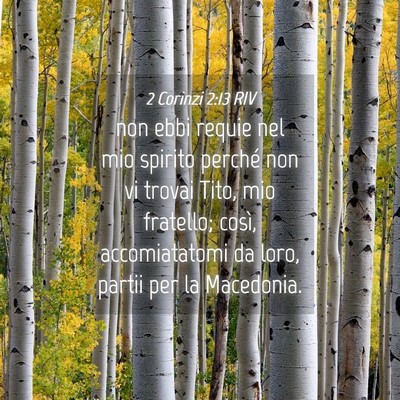 Picture 04 - 2 Corinzi 2:13 RIV - non ebbi requie nel mio spirito perché non vi - Bible Verse Picture