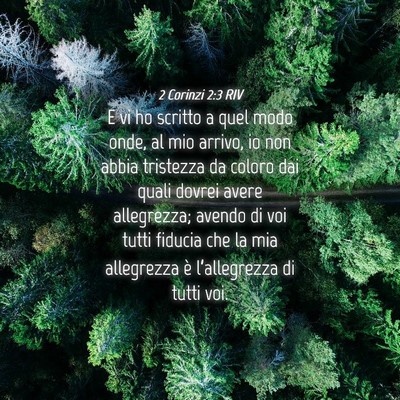 Picture 04 - 2 Corinzi 2:3 RIV - E vi ho scritto a quel modo onde, al mio arrivo, - Bible Verse Picture