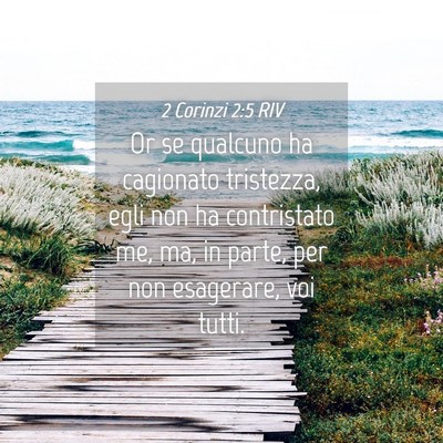 Picture 04 - 2 Corinzi 2:5 RIV - Or se qualcuno ha cagionato tristezza, egli non - Bible Verse Picture