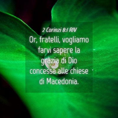 Picture 04 - 2 Corinzi 8:1 RIV - Or, fratelli, vogliamo farvi sapere la grazia di - Bible Verse Picture