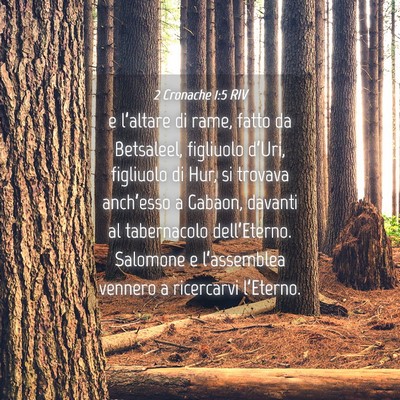 Picture 04 - 2 Cronache 1:5 RIV - e l’altare di rame, fatto da Betsaleel, - Bible Verse Picture