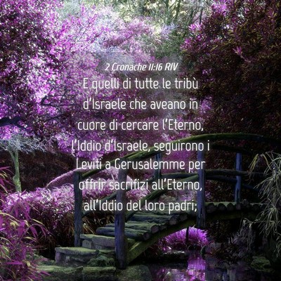 Picture 04 - 2 Cronache 11:16 RIV - E quelli di tutte le tribù d’Israele che - Bible Verse Picture