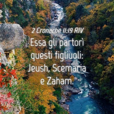 Picture 04 - 2 Cronache 11:19 RIV - Essa gli partorì questi figliuoli: Jeush, - Bible Verse Picture