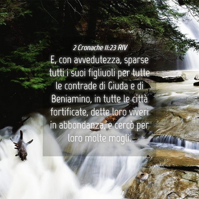 Picture 04 - 2 Cronache 11:23 RIV - E, con avvedutezza, sparse tutti i suoi figliuoli - Bible Verse Picture