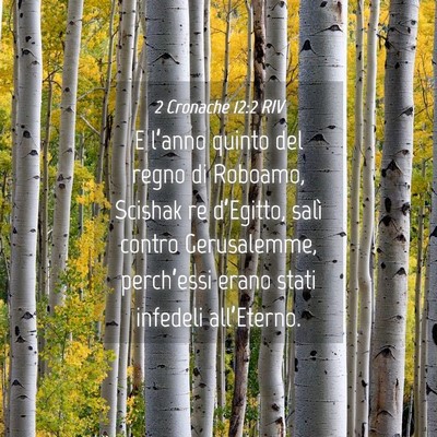 Picture 04 - 2 Cronache 12:2 RIV - E l’anno quinto del regno di Roboamo, Scishak - Bible Verse Picture