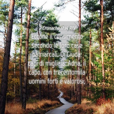 Picture 04 - 2 Cronache 17:14 RIV - Eccone il censimento secondo le loro case - Bible Verse Picture