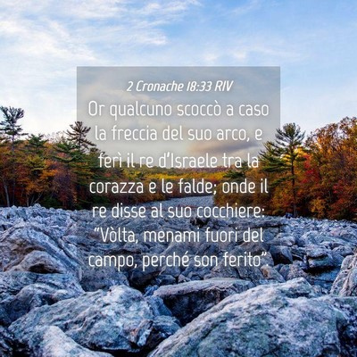 Picture 04 - 2 Cronache 18:33 RIV - Or qualcuno scoccò a caso la freccia del suo - Bible Verse Picture