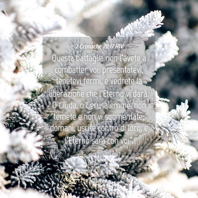 Picture 04 - 2 Cronache 20:17 RIV - Questa battaglia non l’avete a combatter voi: - Bible Verse Picture