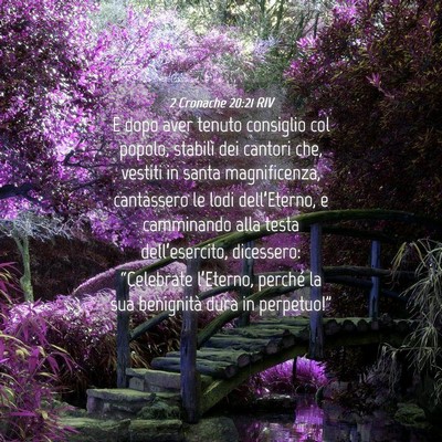 Picture 04 - 2 Cronache 20:21 RIV - E dopo aver tenuto consiglio col popolo, stabilì - Bible Verse Picture