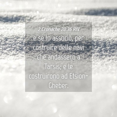Picture 04 - 2 Cronache 20:36 RIV - e se lo associò, per costruire delle navi che - Bible Verse Picture