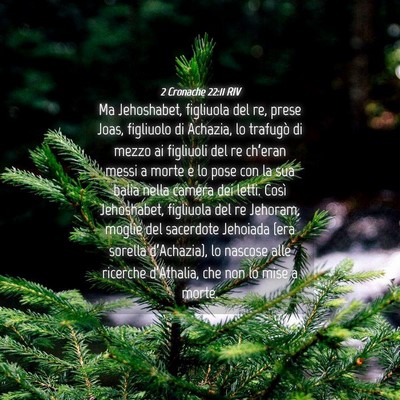 Picture 04 - 2 Cronache 22:11 RIV - Ma Jehoshabet, figliuola del re, prese Joas, - Bible Verse Picture