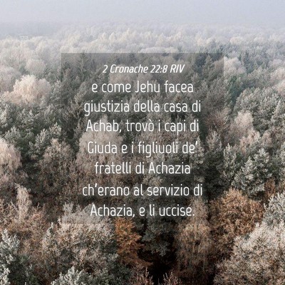 Picture 04 - 2 Cronache 22:8 RIV - e come Jehu facea giustizia della casa di Achab, - Bible Verse Picture