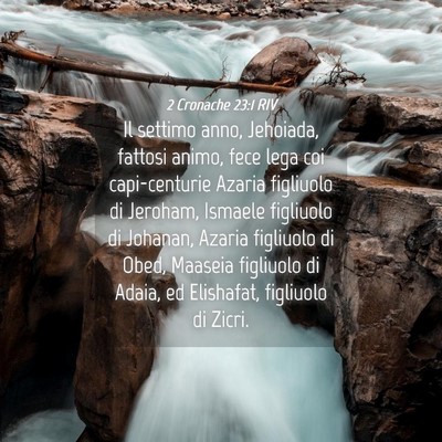 Picture 04 - 2 Cronache 23:1 RIV - Il settimo anno, Jehoiada, fattosi animo, fece - Bible Verse Picture