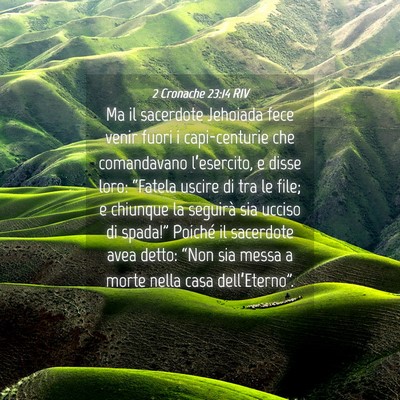 Picture 04 - 2 Cronache 23:14 RIV - Ma il sacerdote Jehoiada fece venir fuori i - Bible Verse Picture