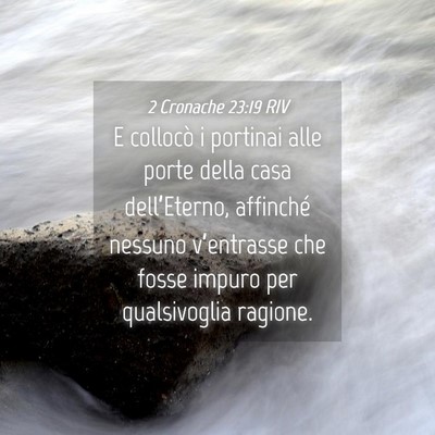 Picture 04 - 2 Cronache 23:19 RIV - E collocò i portinai alle porte della casa - Bible Verse Picture