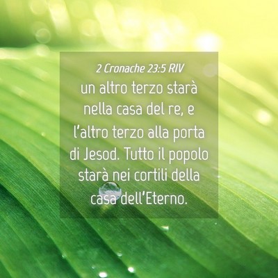 Picture 04 - 2 Cronache 23:5 RIV - un altro terzo starà nella casa del re, e - Bible Verse Picture
