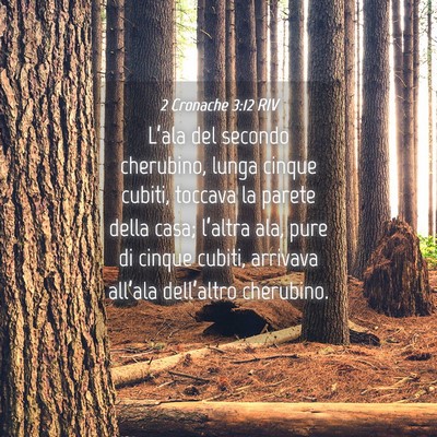 Picture 04 - 2 Cronache 3:12 RIV - L’ala del secondo cherubino, lunga cinque - Bible Verse Picture