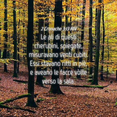 Picture 04 - 2 Cronache 3:13 RIV - Le ali di questi cherubini, spiegate, misuravano - Bible Verse Picture