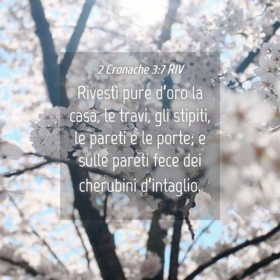 Picture 04 - 2 Cronache 3:7 RIV - Rivestì pure d’oro la casa, le travi, gli - Bible Verse Picture