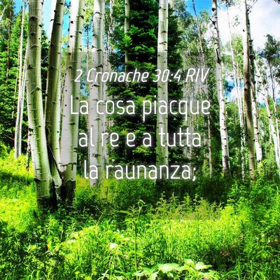 Picture 04 - 2 Cronache 30:4 RIV - La cosa piacque al re e a tutta la - Bible Verse Picture
