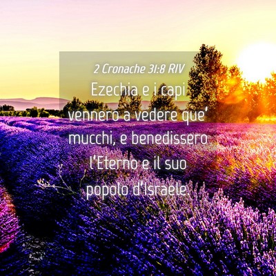 Picture 04 - 2 Cronache 31:8 RIV - Ezechia e i capi vennero a vedere que’ mucchi, - Bible Verse Picture