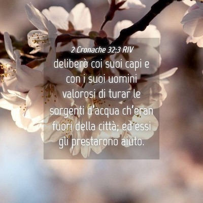 Picture 04 - 2 Cronache 32:3 RIV - deliberò coi suoi capi e con i suoi uomini - Bible Verse Picture
