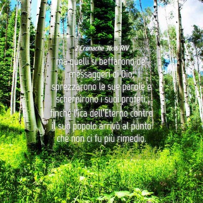 Picture 04 - 2 Cronache 36:16 RIV - ma quelli si beffarono de’ messaggeri di Dio, - Bible Verse Picture