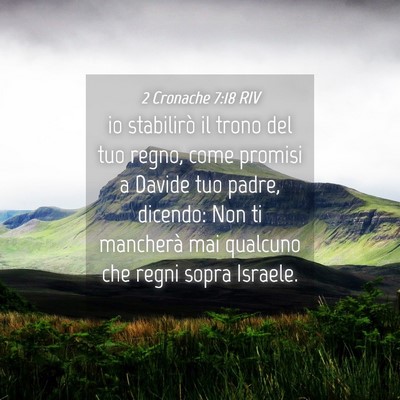 Picture 04 - 2 Cronache 7:18 RIV - io stabilirò il trono del tuo regno, come - Bible Verse Picture