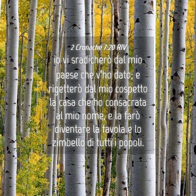 Picture 04 - 2 Cronache 7:20 RIV - io vi sradicherò dal mio paese che v’ho dato; - Bible Verse Picture