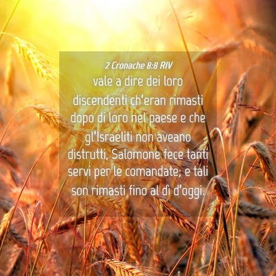 Picture 04 - 2 Cronache 8:8 RIV - vale a dire dei loro discendenti ch’eran - Bible Verse Picture