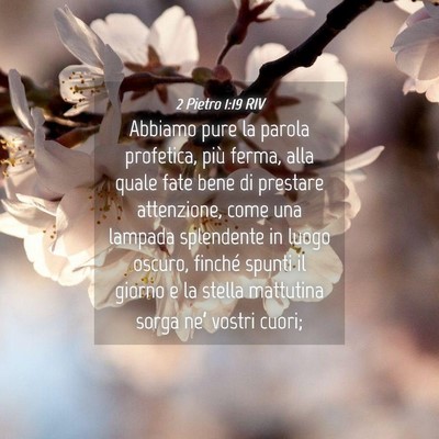 Picture 04 - 2 Pietro 1:19 RIV - Abbiamo pure la parola profetica, più ferma, - Bible Verse Picture