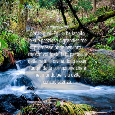 Picture 04 - 2 Pietro 1:4 RIV - per le quali Egli ci ha largito le sue preziose e - Bible Verse Picture