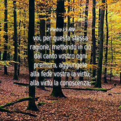 Picture 04 - 2 Pietro 1:5 RIV - voi, per questa stessa ragione, mettendo in ciò - Bible Verse Picture