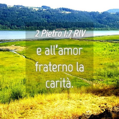 Picture 04 - 2 Pietro 1:7 RIV - e all’amor fraterno la - Bible Verse Picture