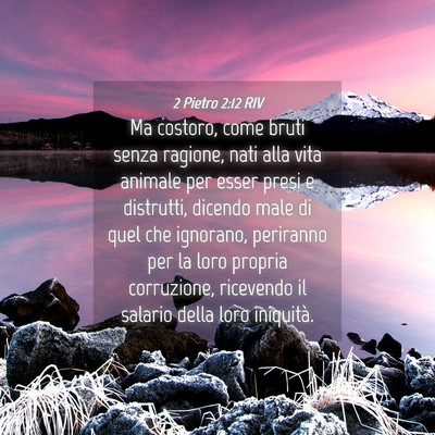 Picture 04 - 2 Pietro 2:12 RIV - Ma costoro, come bruti senza ragione, nati alla - Bible Verse Picture