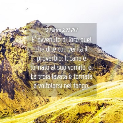 Picture 04 - 2 Pietro 2:22 RIV - E’ avvenuto di loro quel che dice con verità - Bible Verse Picture
