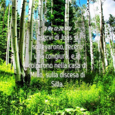Picture 04 - 2 Re 12:20 RIV - I servi di Joas si sollevarono, fecero una - Bible Verse Picture