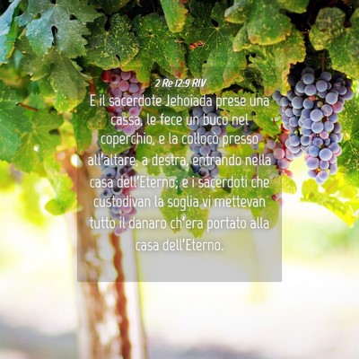 Picture 04 - 2 Re 12:9 RIV - E il sacerdote Jehoiada prese una cassa, le fece - Bible Verse Picture