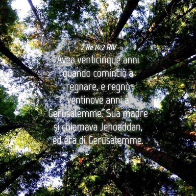 Picture 04 - 2 Re 14:2 RIV - Avea venticinque anni quando cominciò a regnare, - Bible Verse Picture
