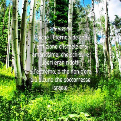 Picture 04 - 2 Re 14:26 RIV - Poiché l’Eterno vide che l’afflizione - Bible Verse Picture
