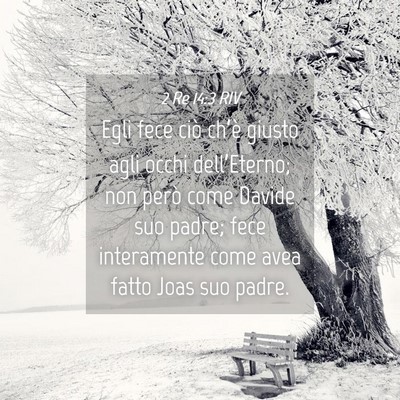 Picture 04 - 2 Re 14:3 RIV - Egli fece ciò ch’è giusto agli occhi - Bible Verse Picture