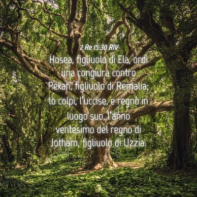 Picture 04 - 2 Re 15:30 RIV - Hosea, figliuolo di Ela, ordì una congiura - Bible Verse Picture