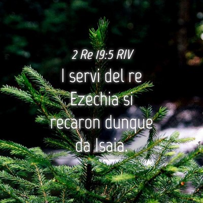 Picture 04 - 2 Re 19:5 RIV - I servi del re Ezechia si recaron dunque da - Bible Verse Picture