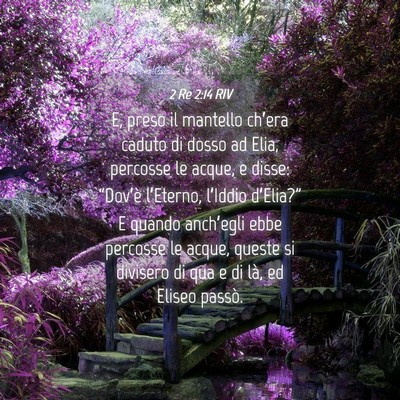 Picture 04 - 2 Re 2:14 RIV - E, preso il mantello ch’era caduto di dosso ad - Bible Verse Picture