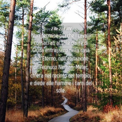 Picture 04 - 2 Re 23:11 RIV - Non permise più che i cavalli consacrati al sole - Bible Verse Picture