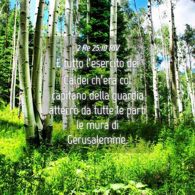 Picture 04 - 2 Re 25:10 RIV - E tutto l’esercito dei Caldei ch’era col - Bible Verse Picture