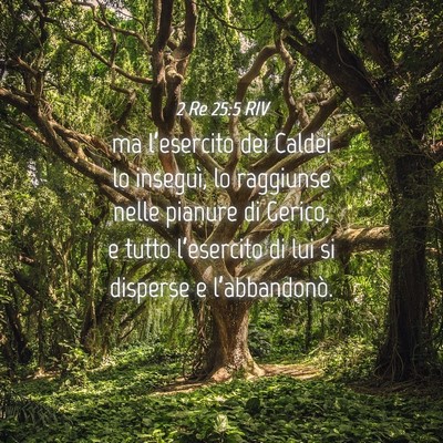 Picture 04 - 2 Re 25:5 RIV - ma l’esercito dei Caldei lo inseguì, lo - Bible Verse Picture