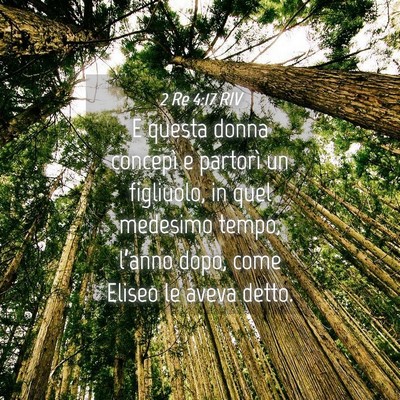 Picture 04 - 2 Re 4:17 RIV - E questa donna concepì e partorì un figliuolo, - Bible Verse Picture