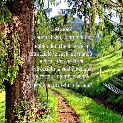Picture 04 - 2 Re 5:8 RIV - Quando Eliseo, l’uomo di Dio, ebbe udito che il - Bible Verse Picture